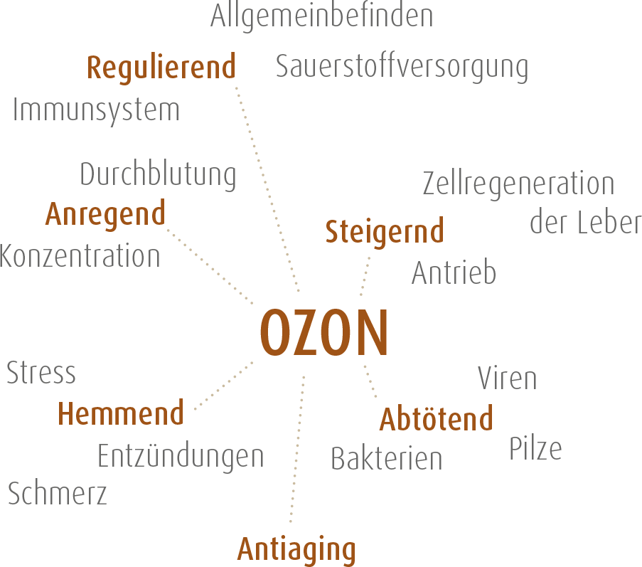 Praxis_Dr Cennet-Dalmis-anfahrtsplan
